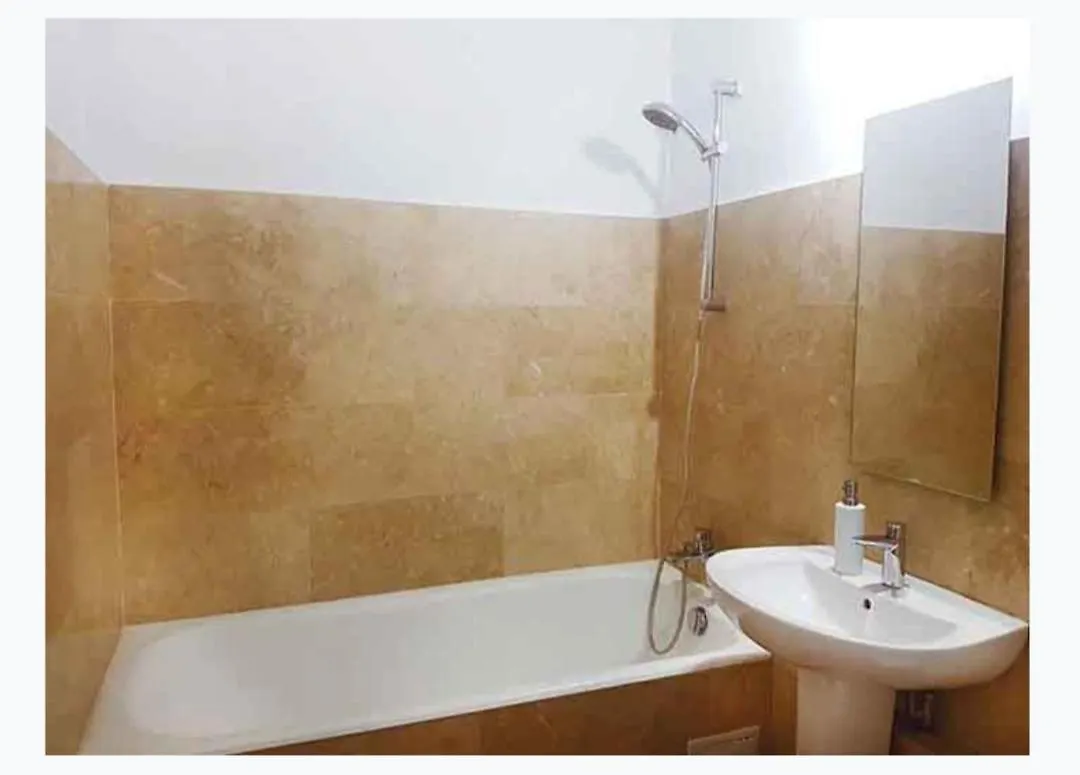 Piata Victoriei Sanador Studio Apartment Bucarest 0*,