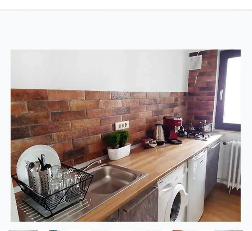 Piata Victoriei Sanador Studio Apartment Bucarest